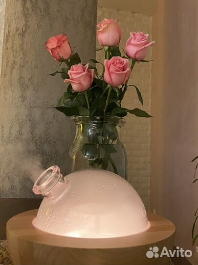 Аромадиффузор Aria от Young living