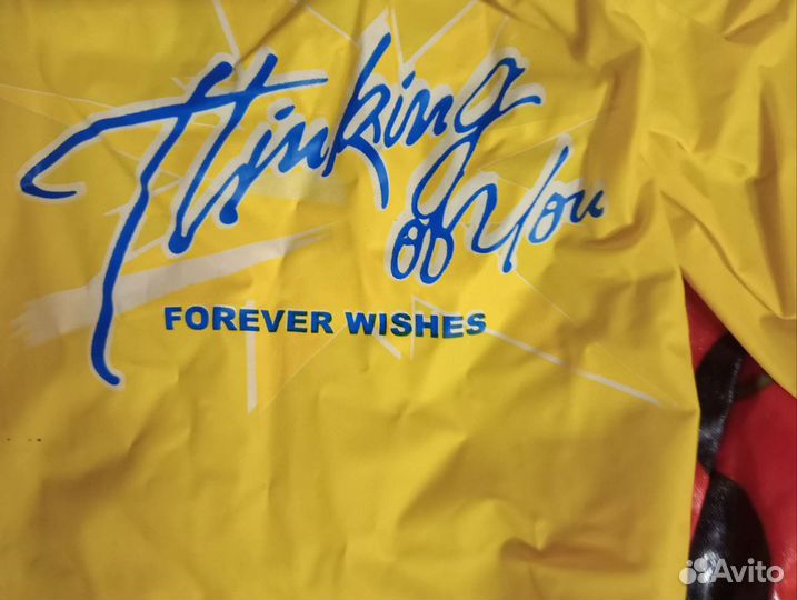 Дождевик детский 116