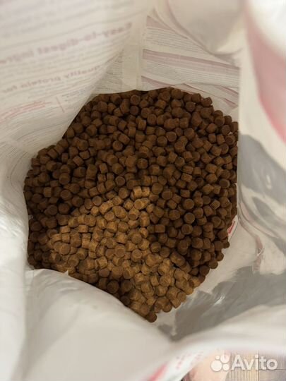 Корм для собак Hills Adult 1-6 открытый