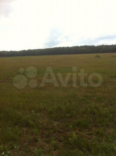 Участок 3,5 га (СНТ, ДНП)