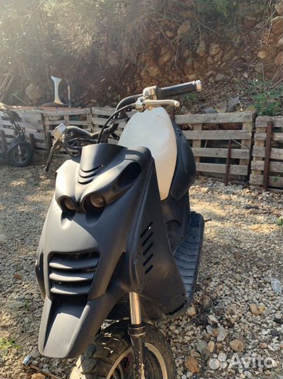 Betta Ark итальянец