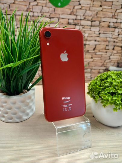 iPhone Xr, 128 ГБ