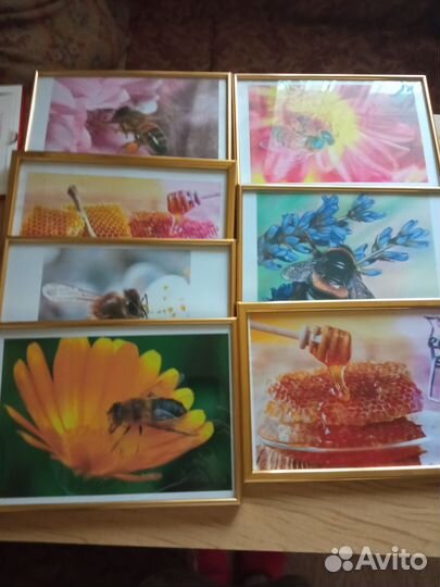 Рамки для фото 20х 30 (пластик) со стеклом