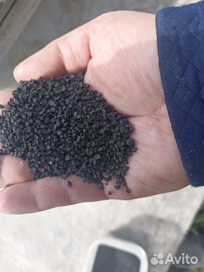 Семена лука чернушка