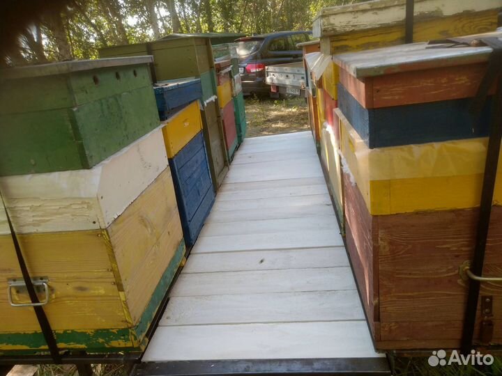 Пчеловодческая платформа