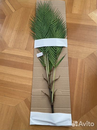 Кашпо и пальма