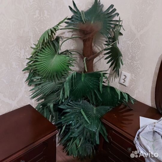 Искусственная пальма бу