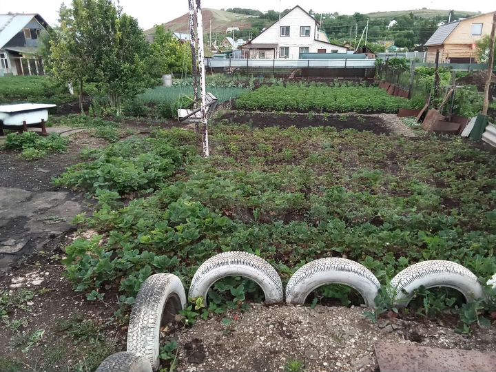 Участок 7 сот. (ИЖС)