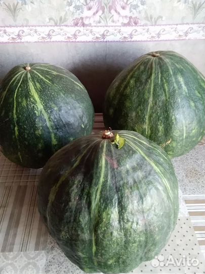 Корзина плетеная и тыква