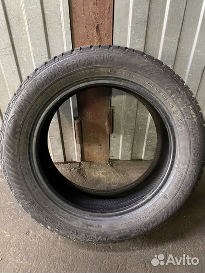 Gislaved NordFrost 100 205/55 R16