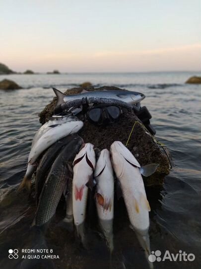 Приманка на Кефаль(Маруся,Замануха,Дурка)