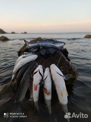 Приманка на Кефаль(Маруся,Замануха,Дурка)