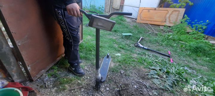 Трюковой самокат сиамской кошки