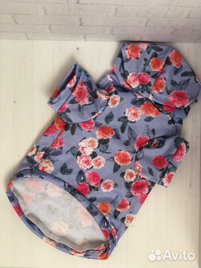 Одежда для собак