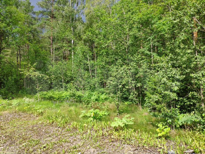 Участок 2,4 га (СНТ, ДНП)