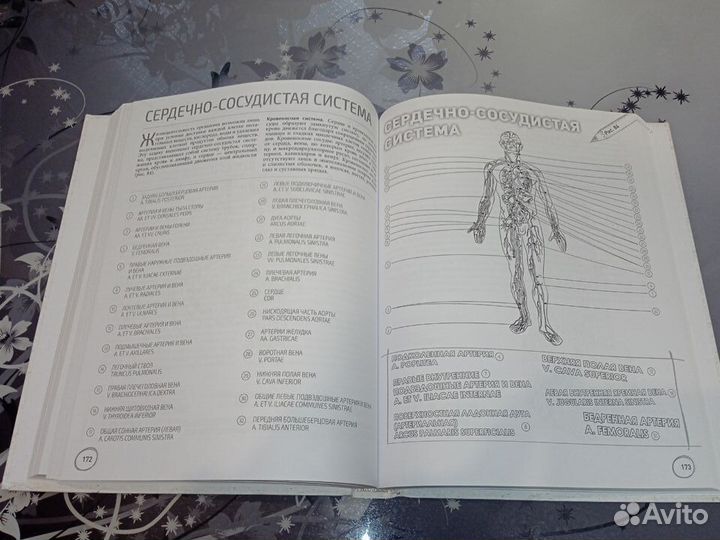 Анатомический атлас-раскраска