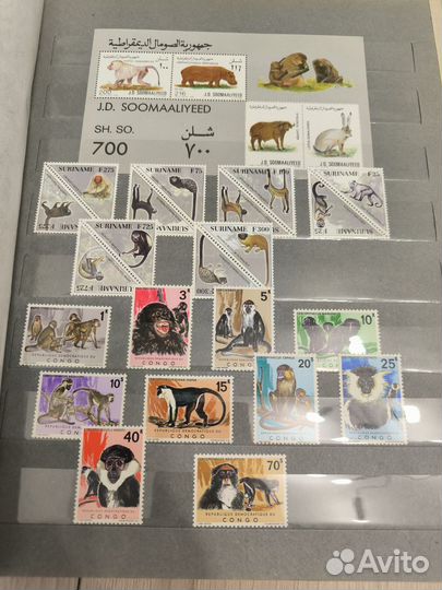 Альбомам марками (фауна) 2