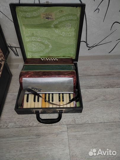 Аккордеон Малыш