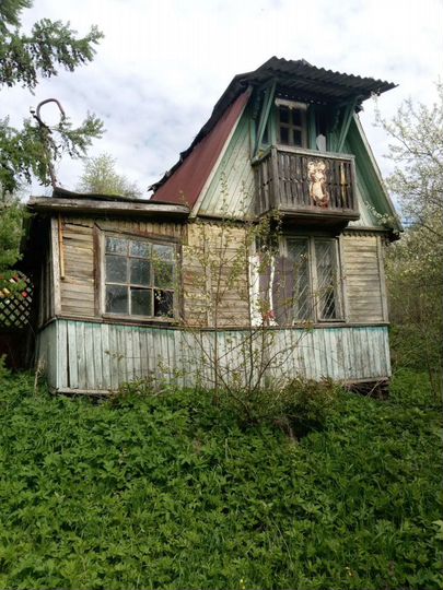 Участок 6 сот. (СНТ, ДНП)