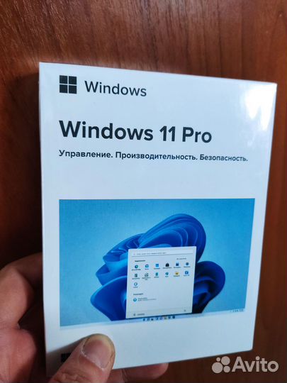 Windows 11 Professional (BOX)
