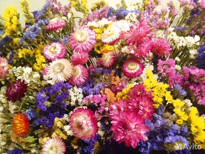 Собираю Букет из сухоцветов на первое сентября