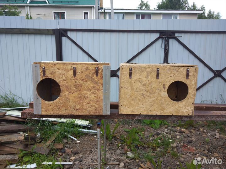 Маточник для кроликов