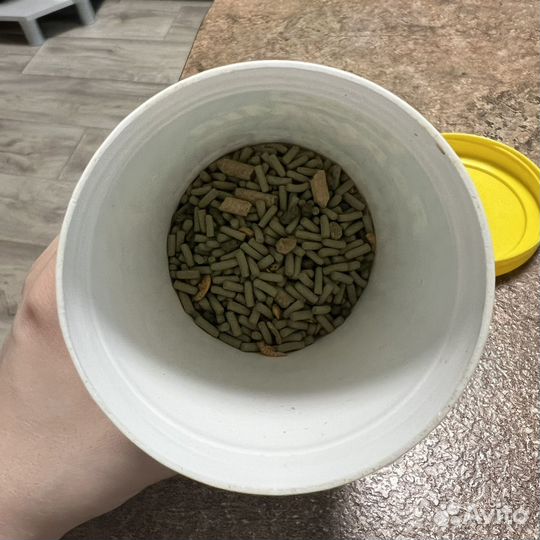 Корм для черепах