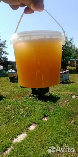 Мёд Алтайский цветочный/разнотравье/гречиха