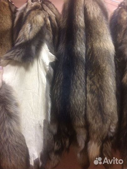 Выделка Шкур и черепов