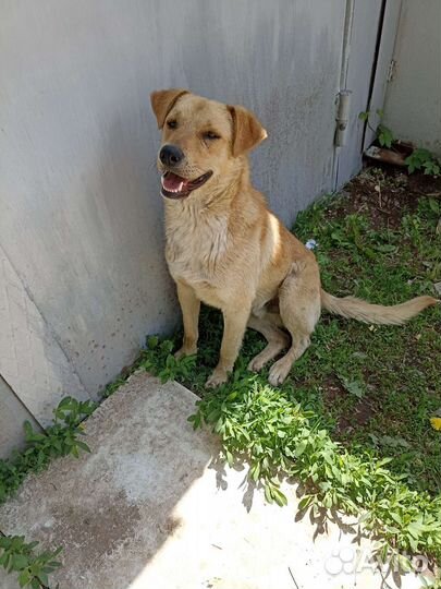 Мальчик подросток