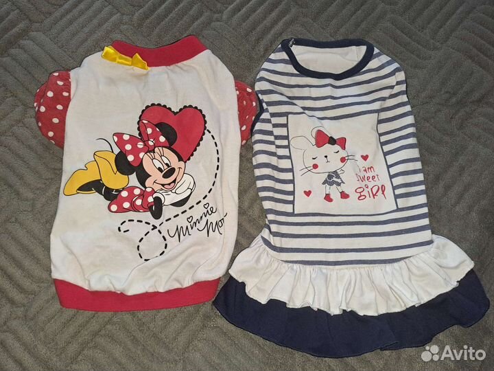 Кофточки для собачки