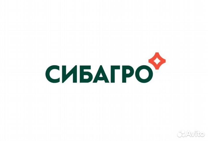 Грузчики