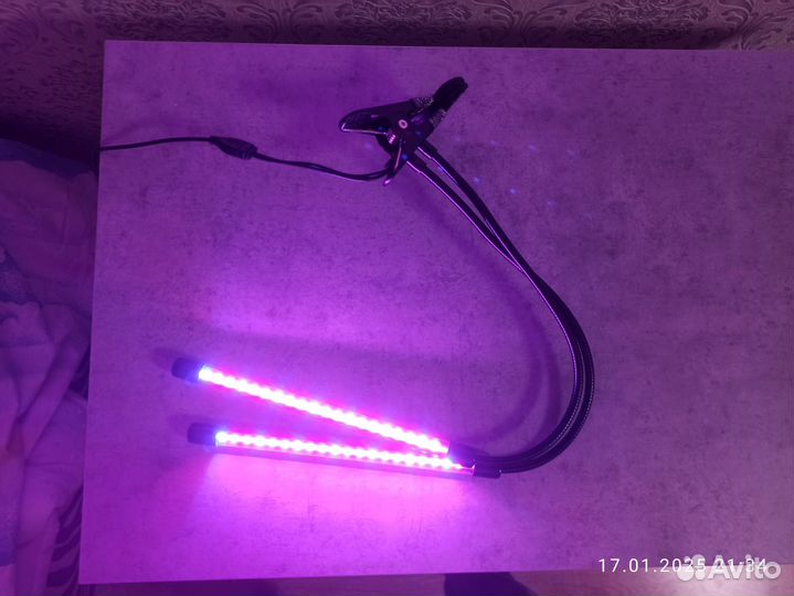 Фито лампа для растений космос