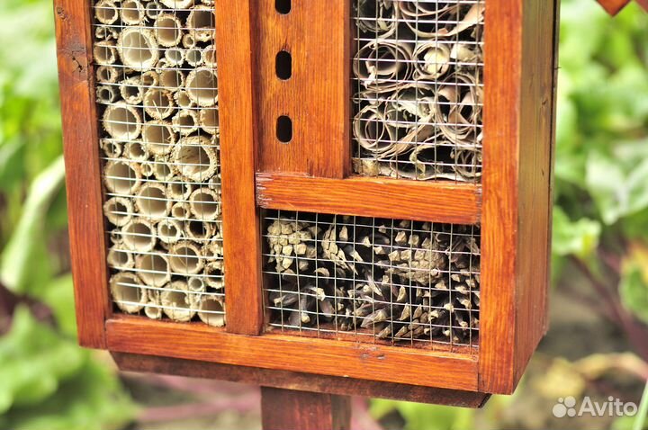 Домики для божьих коровок и др.насекомых