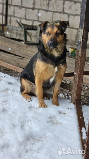 Кай ищет дом