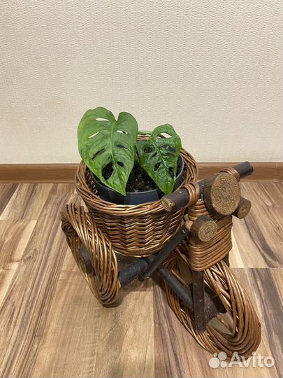 Кашпо для цветов