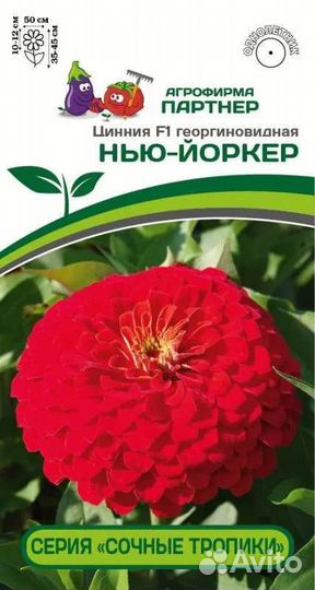 Циннии кустовые фирмы партнер