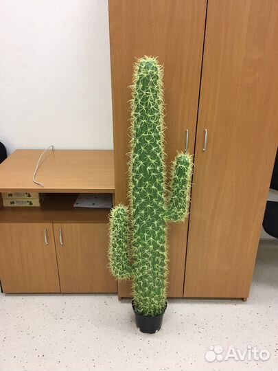 Кактус искусственный Новый
