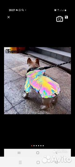 Куртка-дождевик для собаки светоотражающая