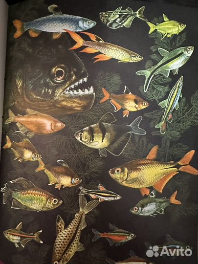 Энциклопедии Жизнь животных СССР