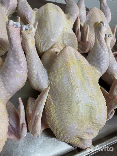 Мясо домашней курицы