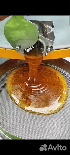 Мёд Донник, Липа, Кипрей, Гречка, Подсолнух 2024