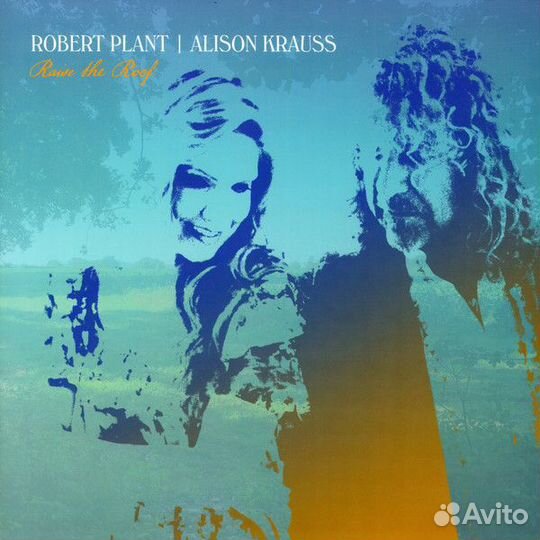 Robert Plant, Alison Krauss - Raise The Roof (2xL