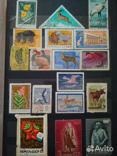 Почтовые марки + альбом