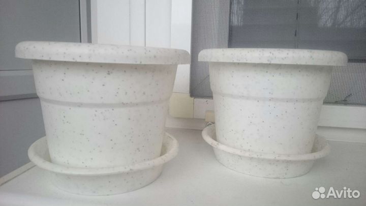 Индийский лук цветочные горшки