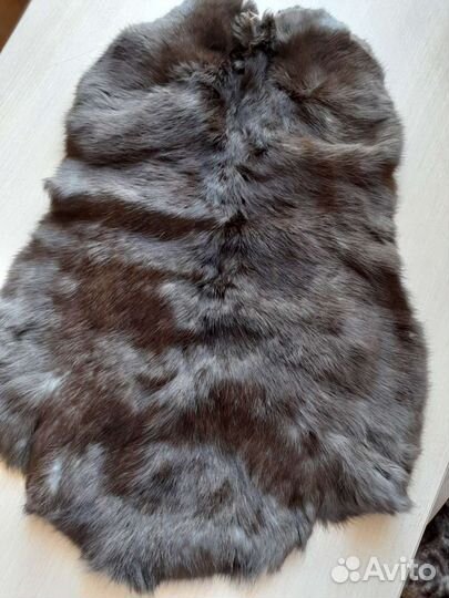 Шкурки кролика