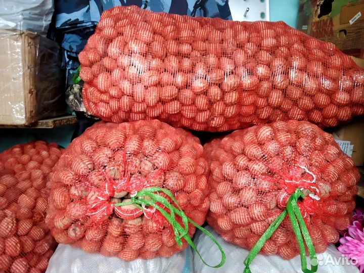 Грецкий орех