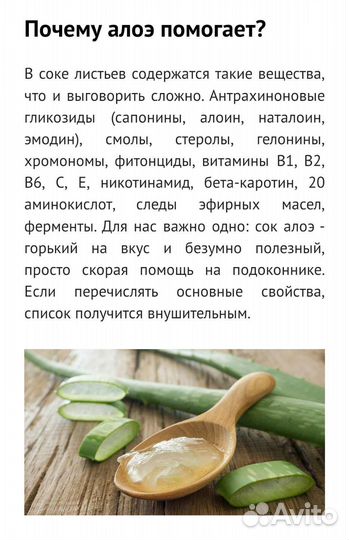 Алоэ Вера, Алоэ древовидное:2,3,4,5-лет