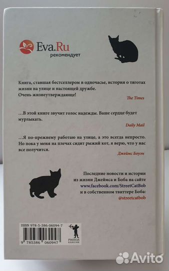 Уличный кот по имени Боб