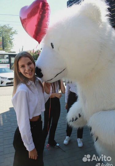 Белый медведь, Поздравление от белого медведя